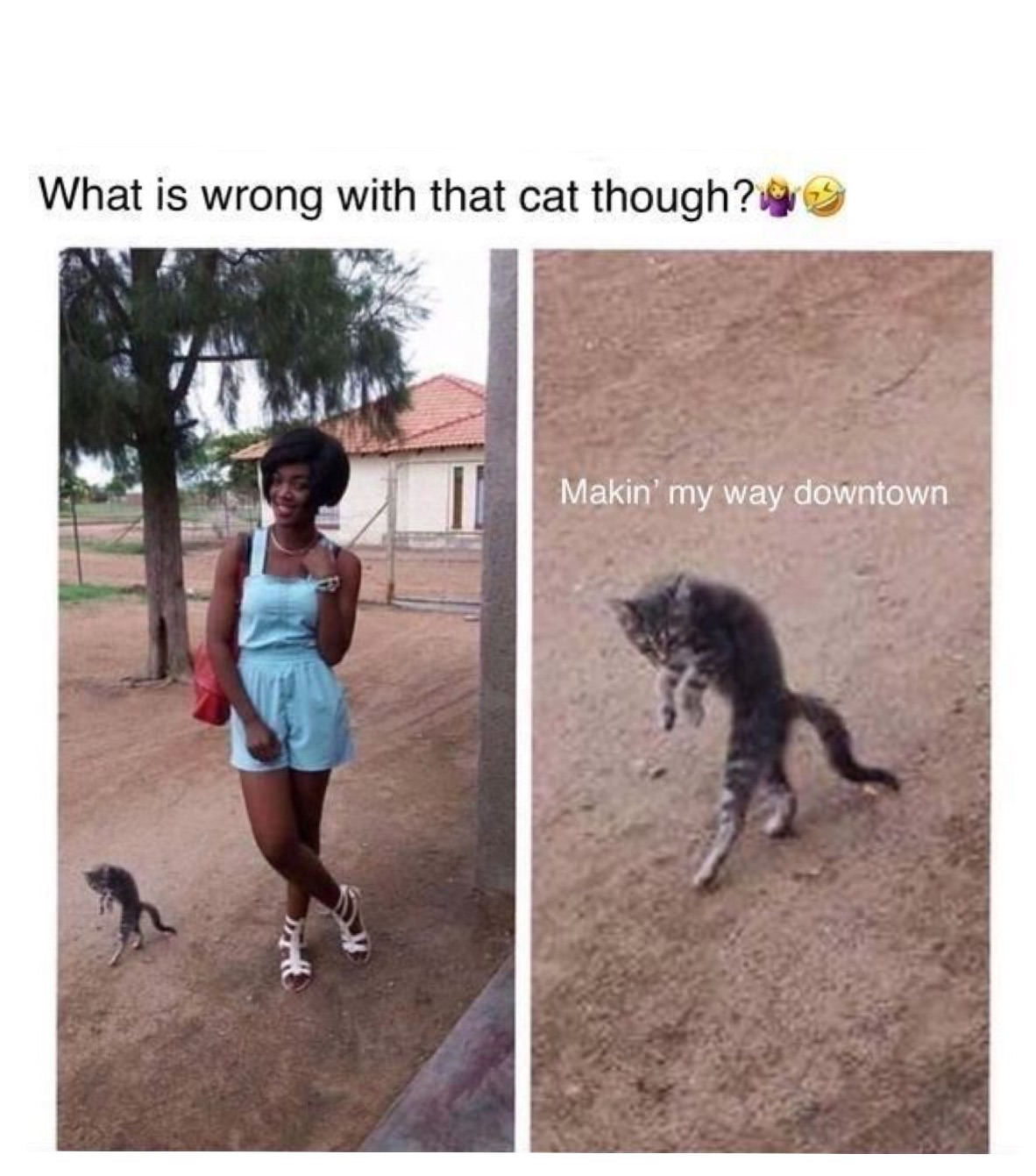 Meme by 101_meme_master_1