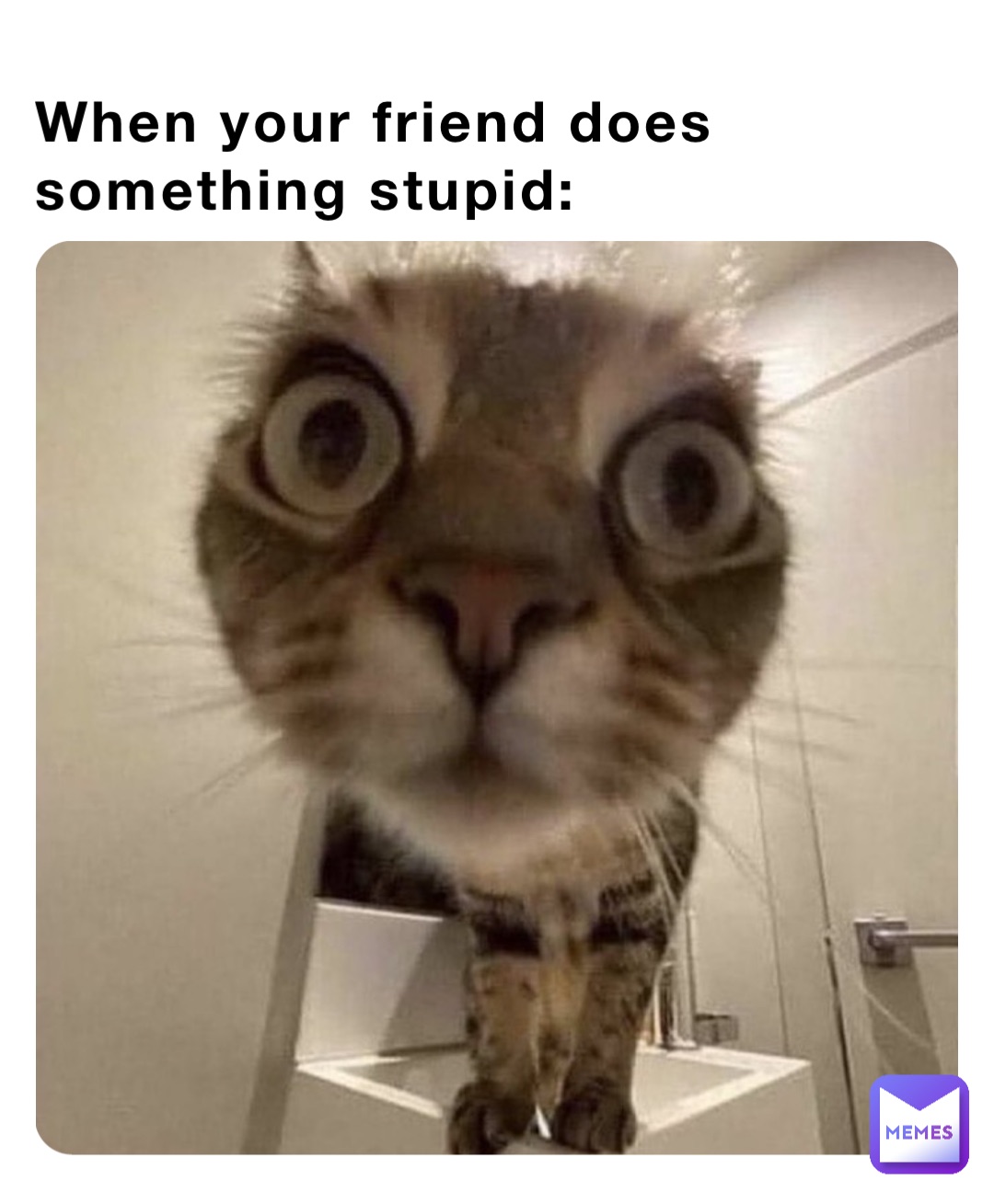 When your friend does something stupid: