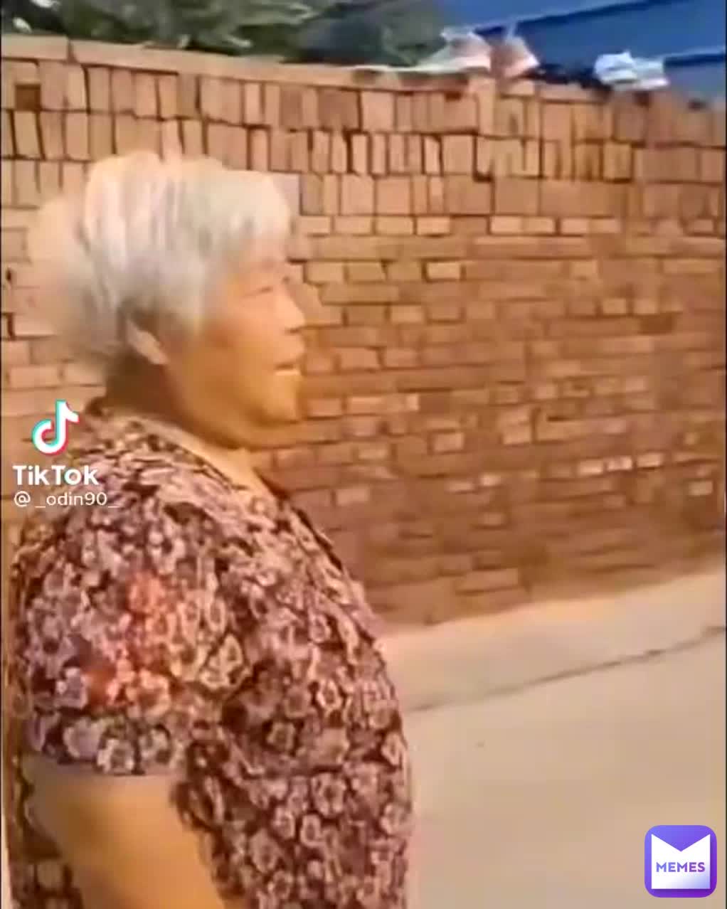 Meme shared by @meme_funny_.