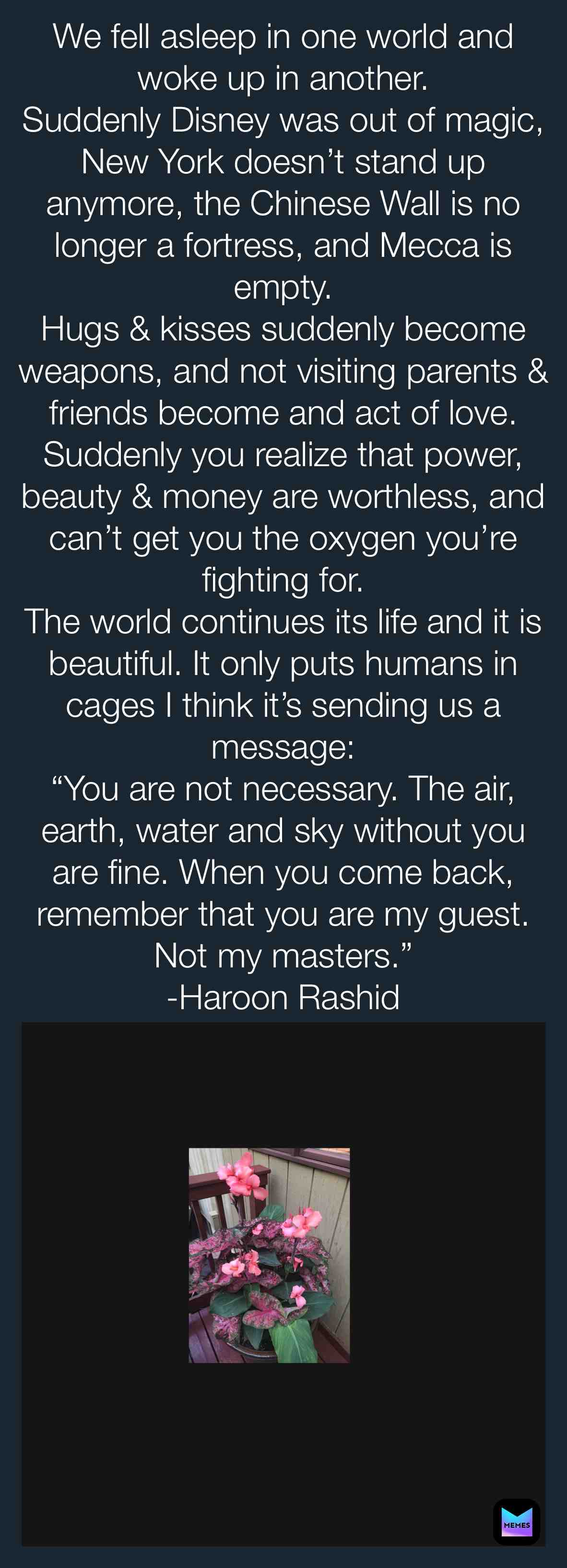 #MotherEarth  #Reset  #Renew