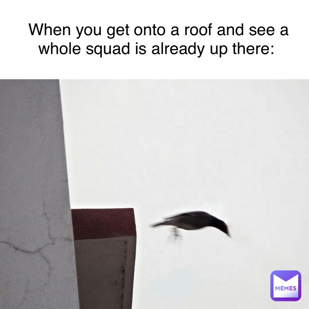 When you get onto a roof and see a whole squad is already up there: