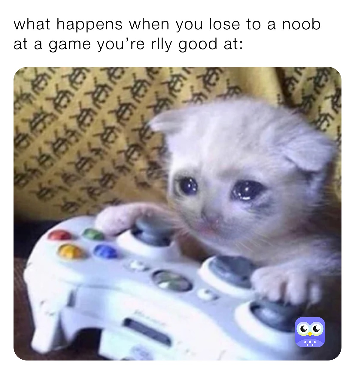 what happens when you lose to a noob at a game you’re rlly good at: