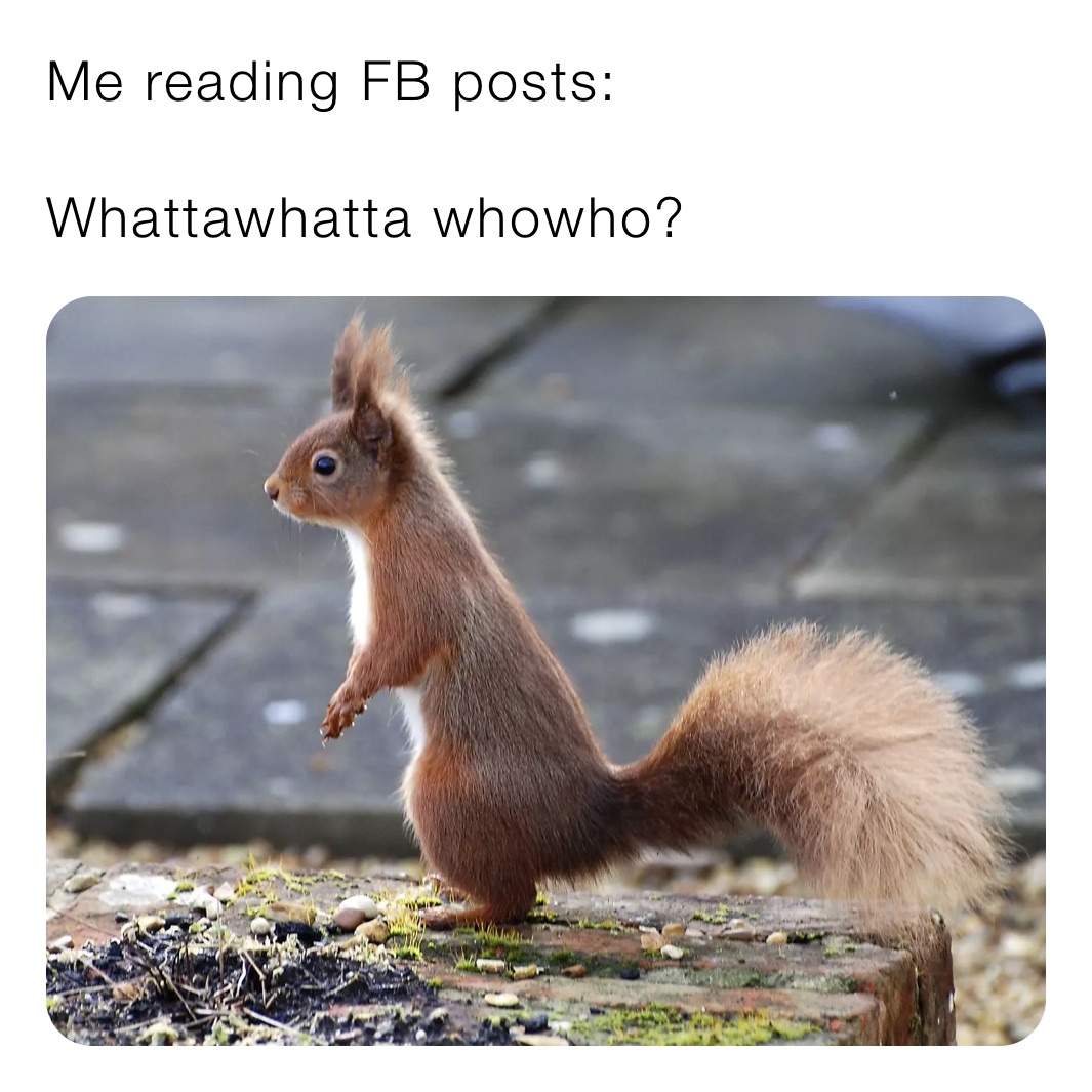 Me reading FB posts: 

Whattawhatta whowho? 