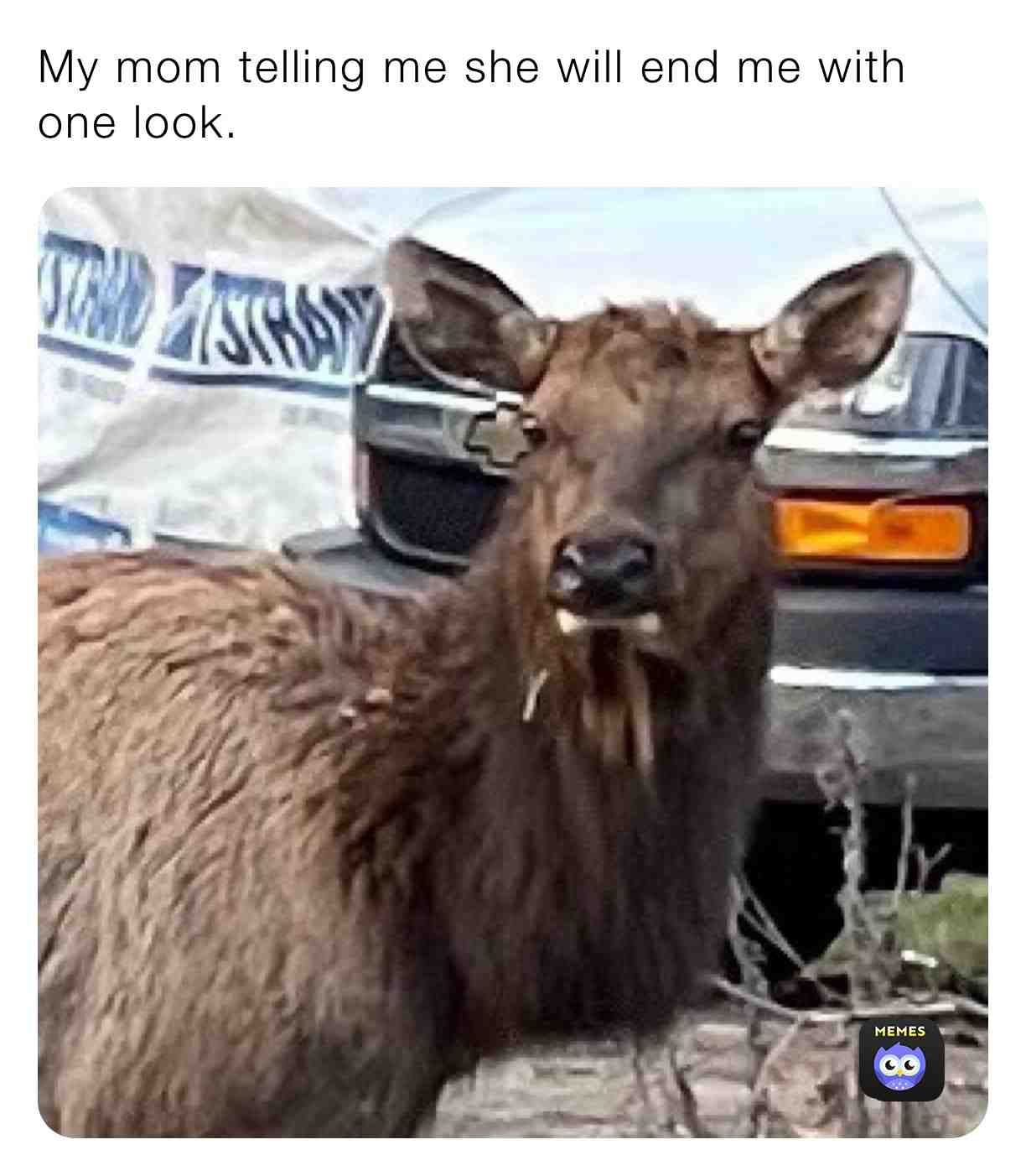 # #momsense