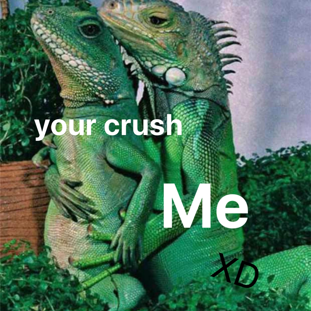 your crush Me XD