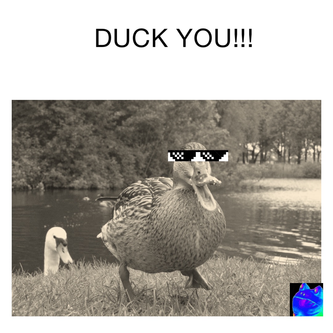 DUCK YOU!!!