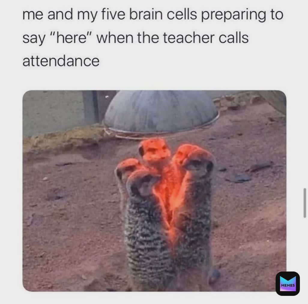 Meme by marina.fakhoury