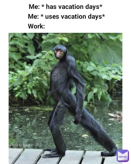 Me: * has vacation days*
 Me: * uses vacation days*
Work:                                  
