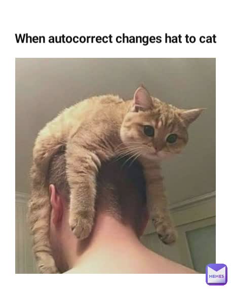 When autocorrect changes hat to cat