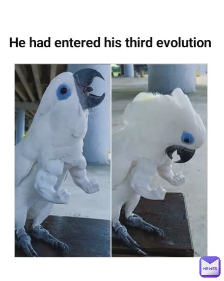 He had entered his third evolution
