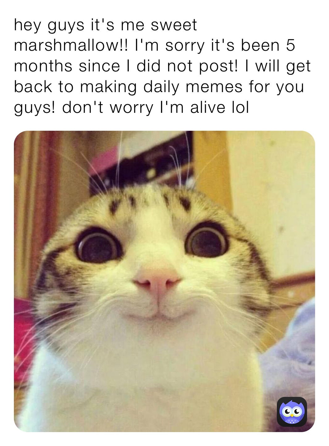 Meme by SashaAcovski