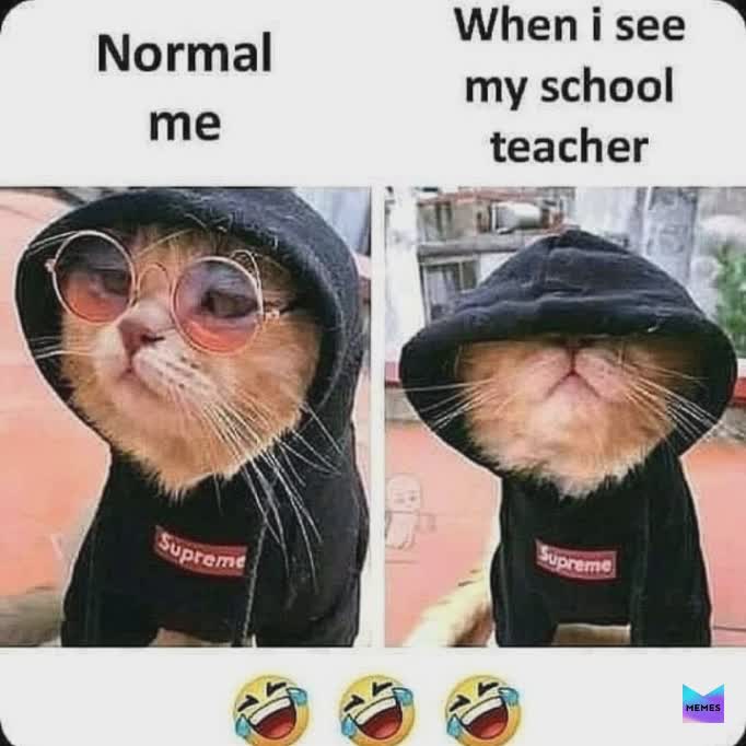 Meme by carry_memes01