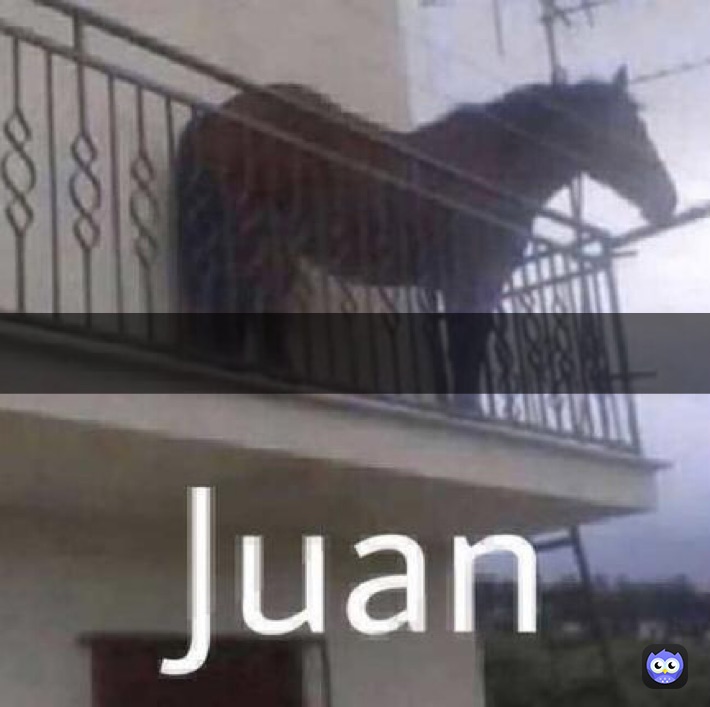 Meme by thicc_memer124