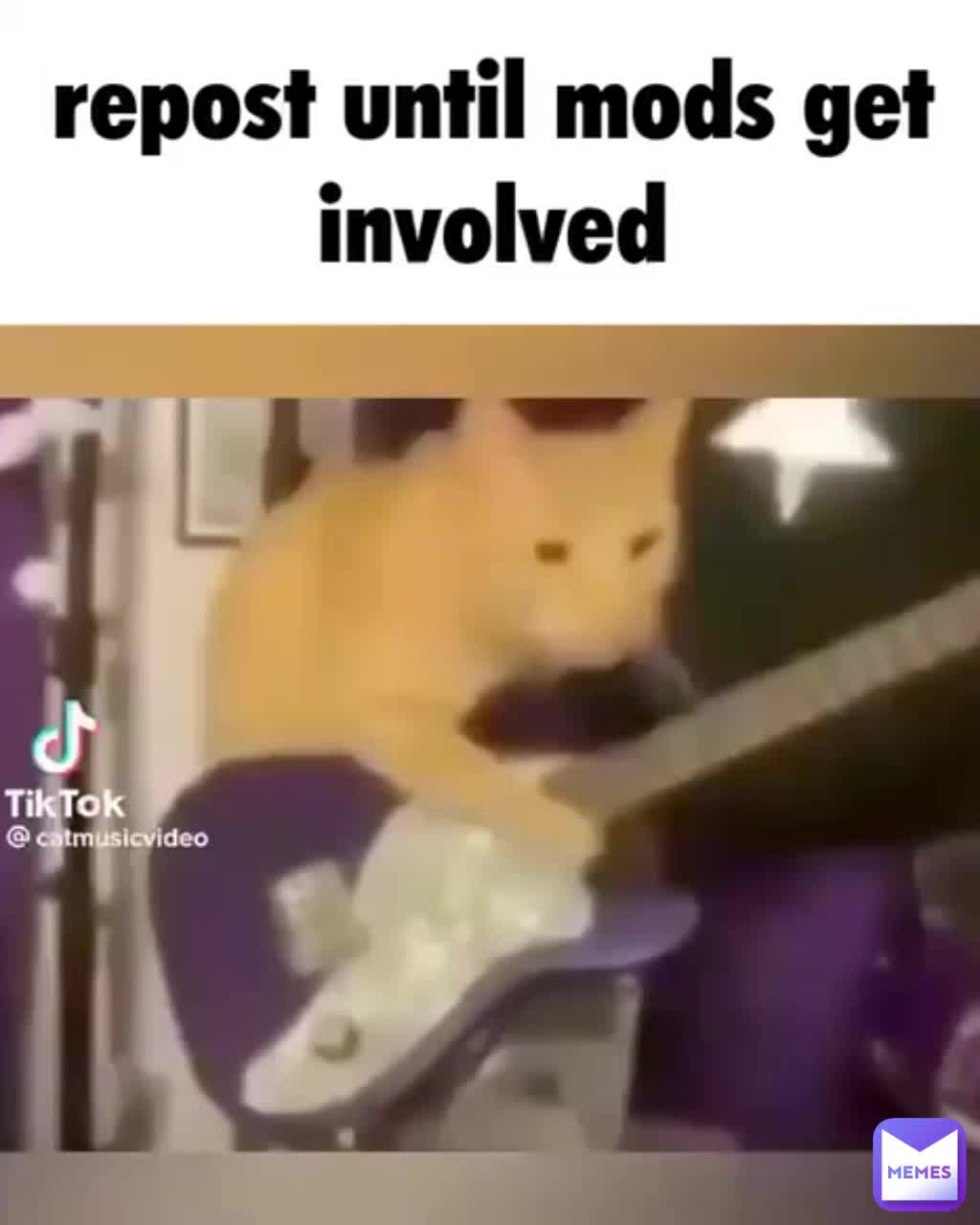 Meme preview
