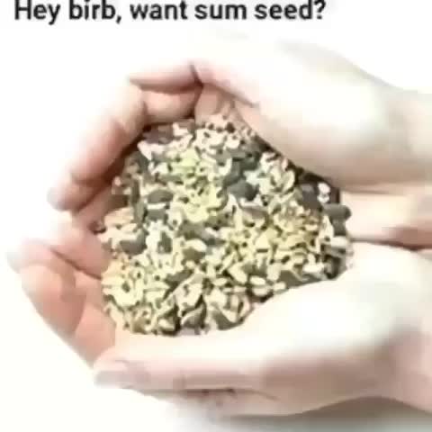 Noooooo