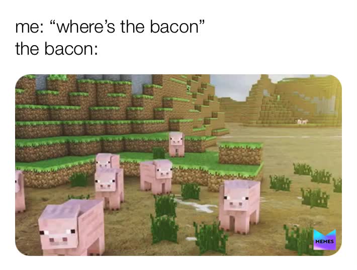 Meme shared by @kayleesnickles