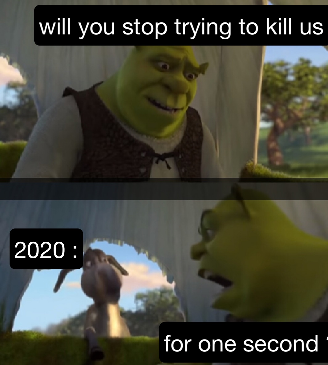 Meme by nameless_memeverse