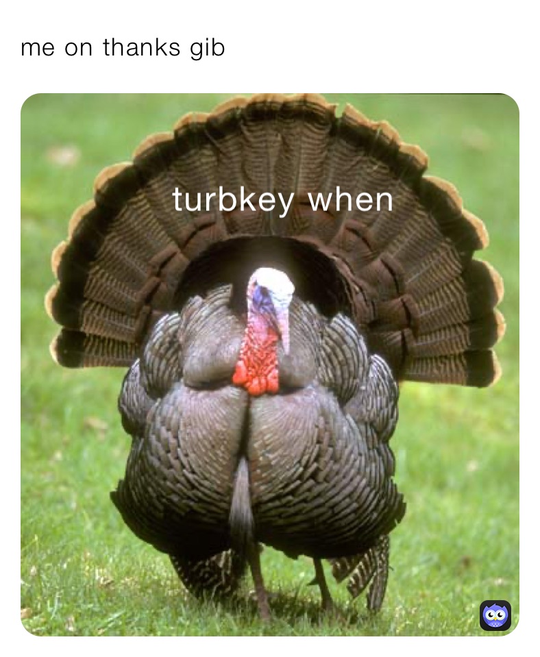 me on thanks gib