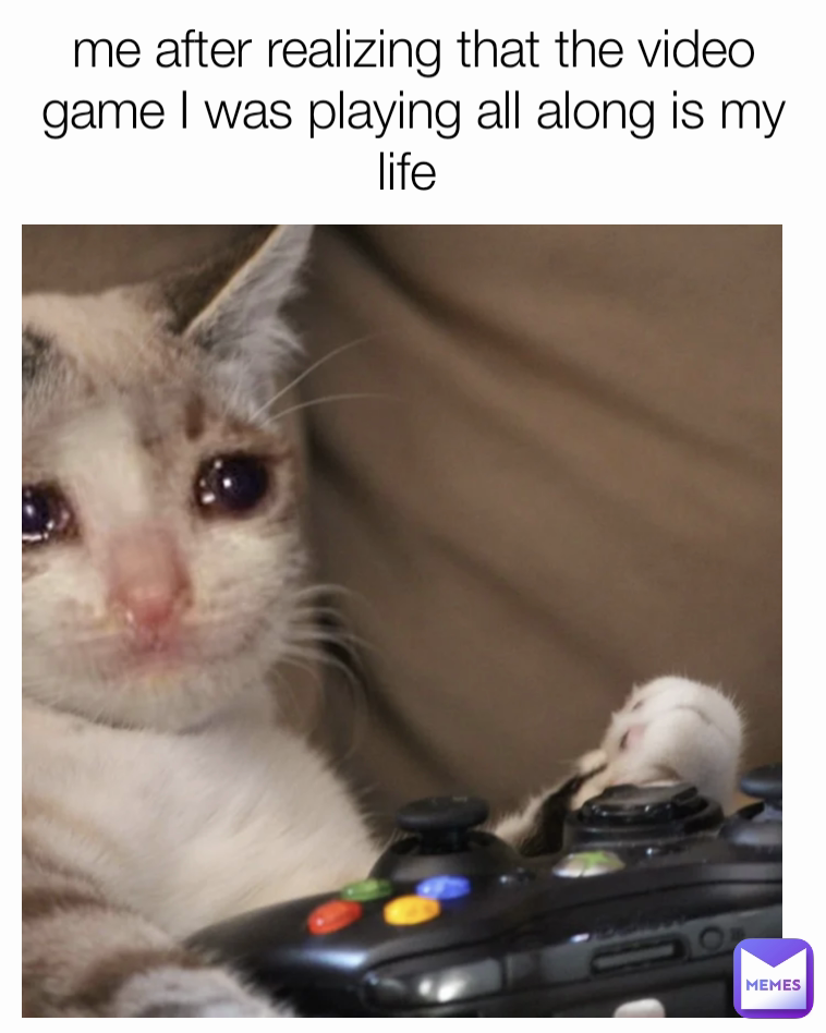 me after realizing that the video game I was playing all along is my life 