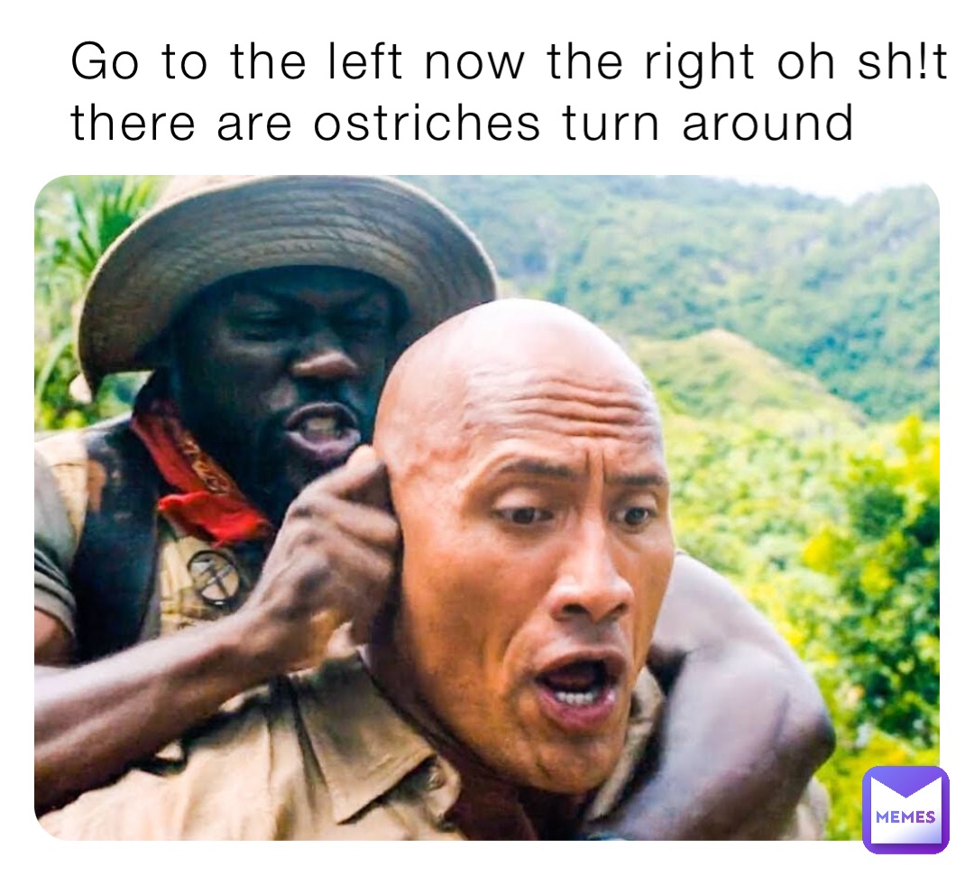 Go to the left now the right oh sh!t there are ostriches turn around