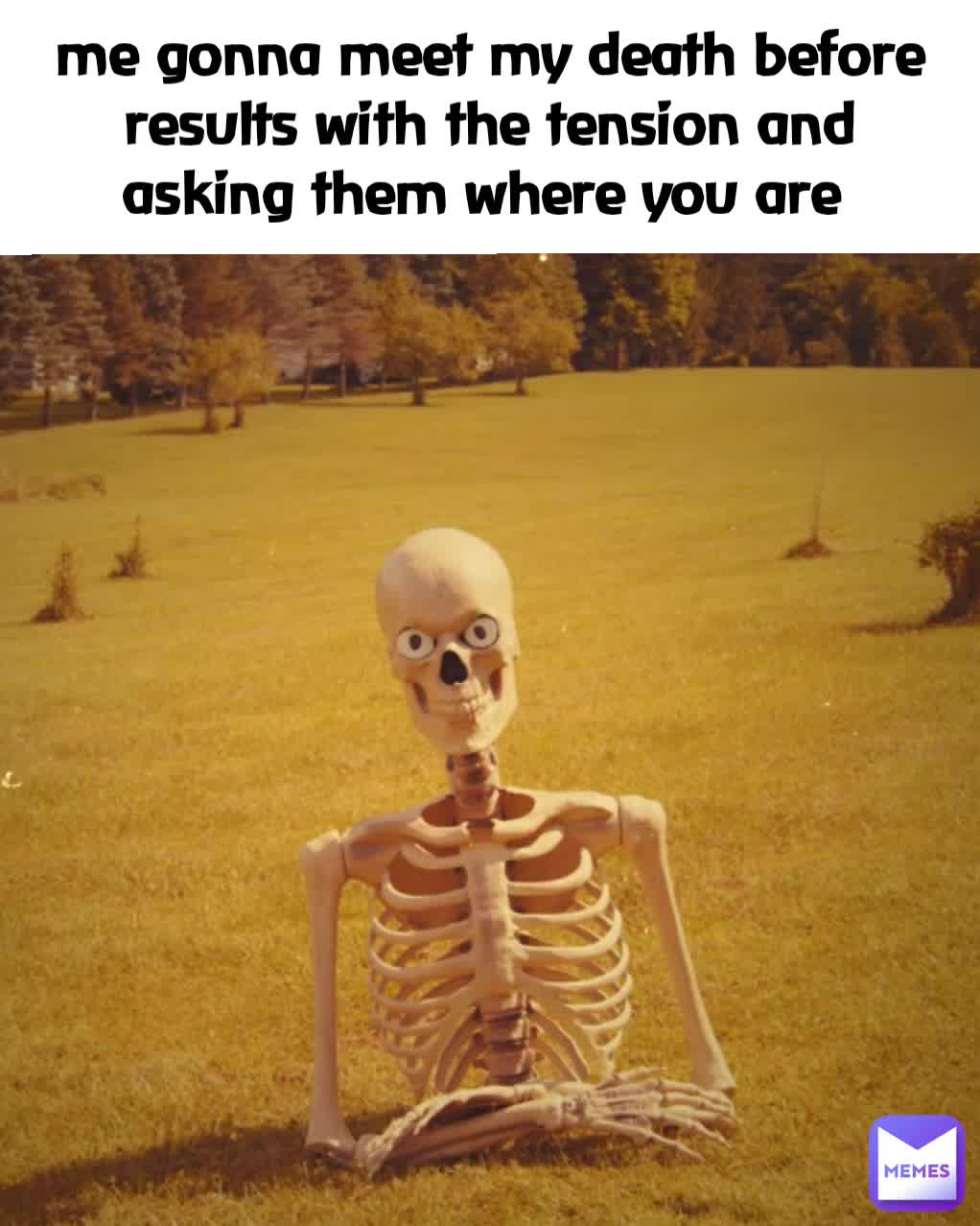 Meme preview