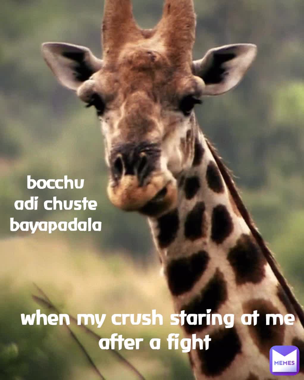 Meme preview