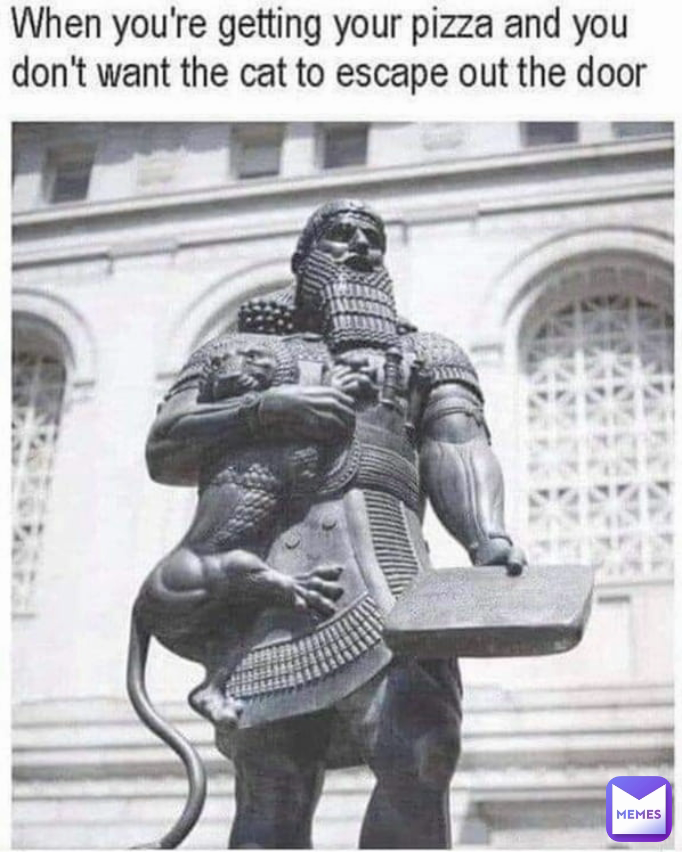 Type Text