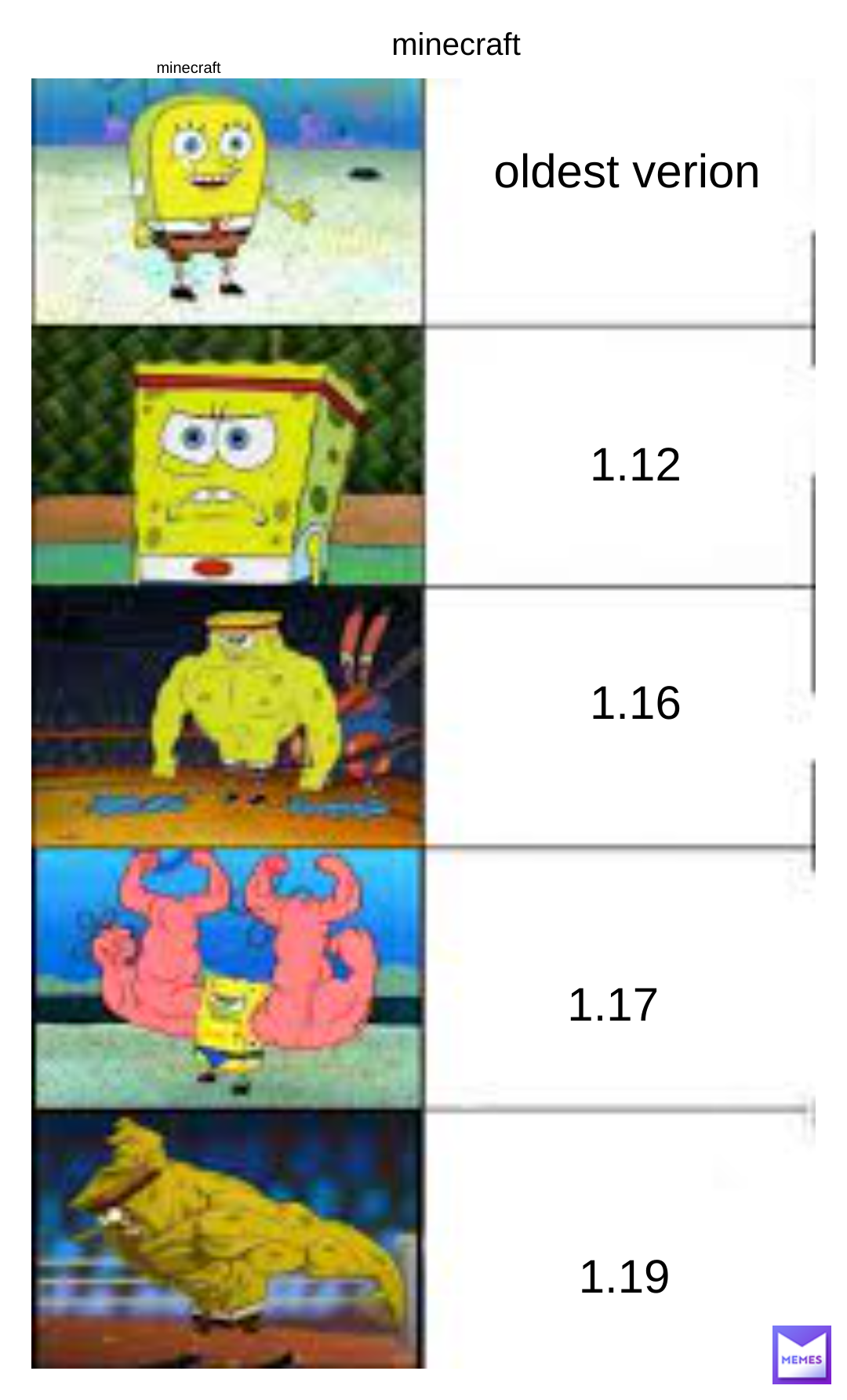 Minecraftmemes Memes Memes