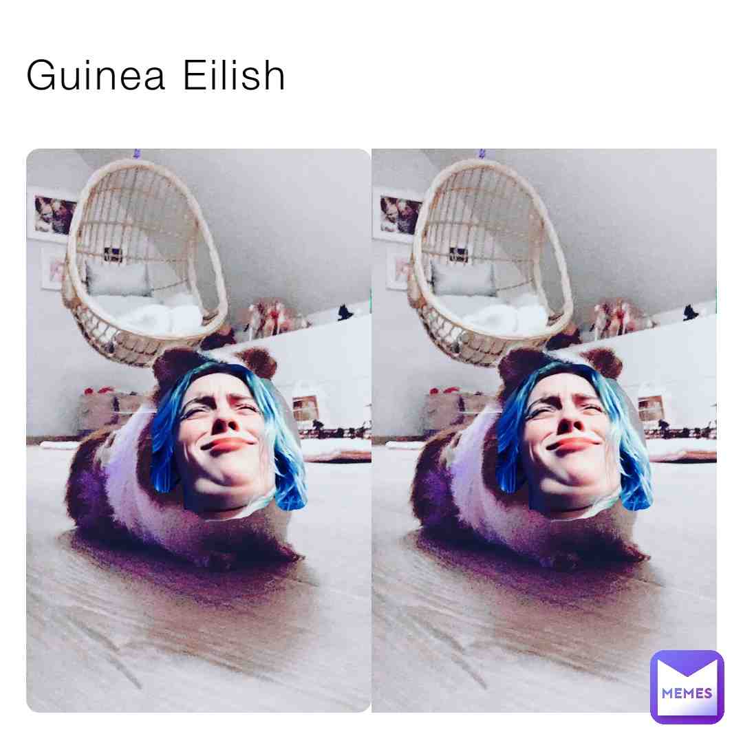 Guinea Eilish \ud83d\udc39
#guinea #guineapig #animal #animals #pet #pets
#billie #eilish #billieeilish
#fun #funny #crazy
#meme #memes
#cute #kawaii