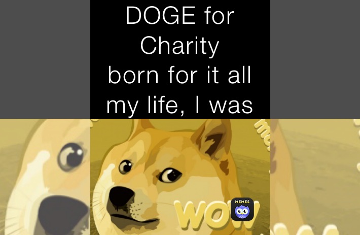 DOGE for Charity 
born for it all my life, I was