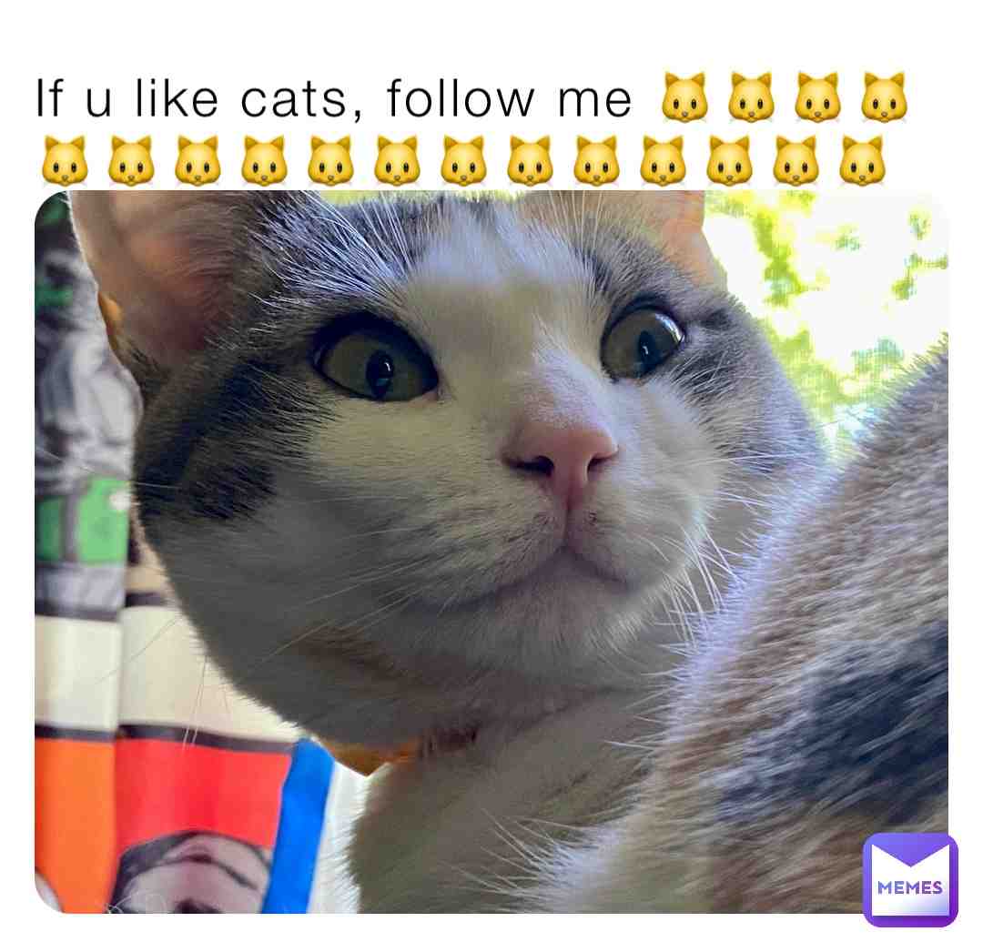 Meow