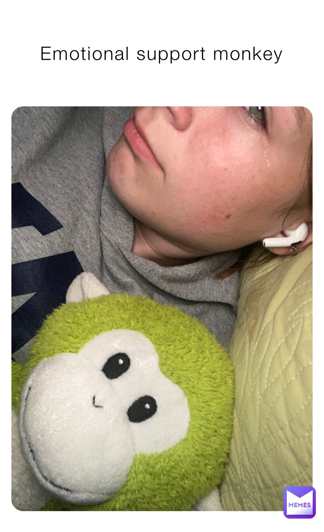 Emotional support monkey