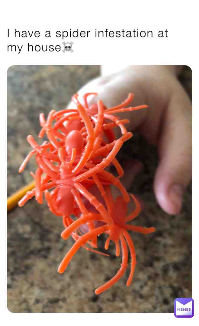 #spiders #spiderinfestation #halloweenmemes #spookymemes