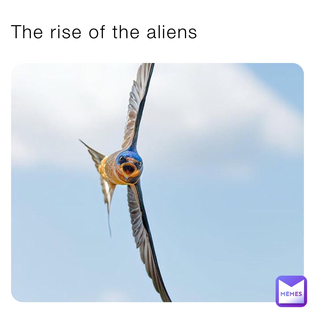 Meme by Quinn1234413251