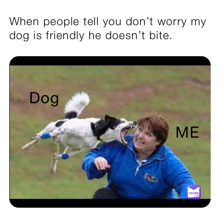 When people tell you don’t worry my dog is friendly he doesn’t bite.