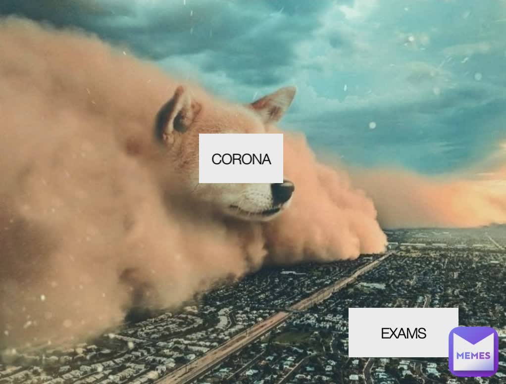 Meme by franklinwizard224