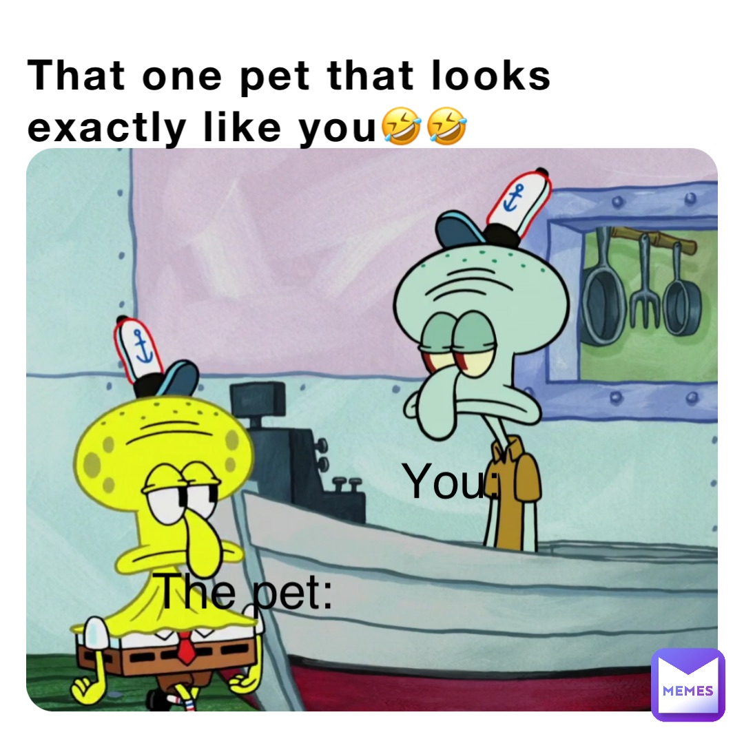 That one pet that looks exactly like you🤣🤣 The pet: You: