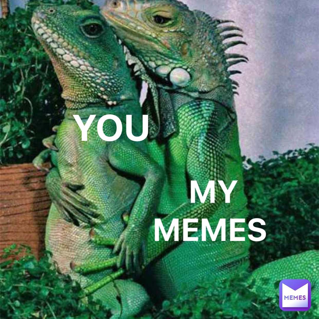 YOU MY 
MEMES