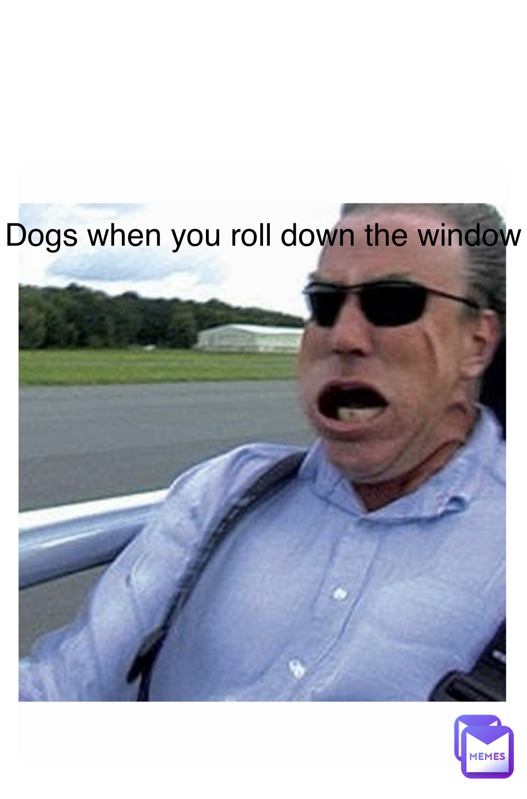 Double tap to edit Dogs when you roll down the window