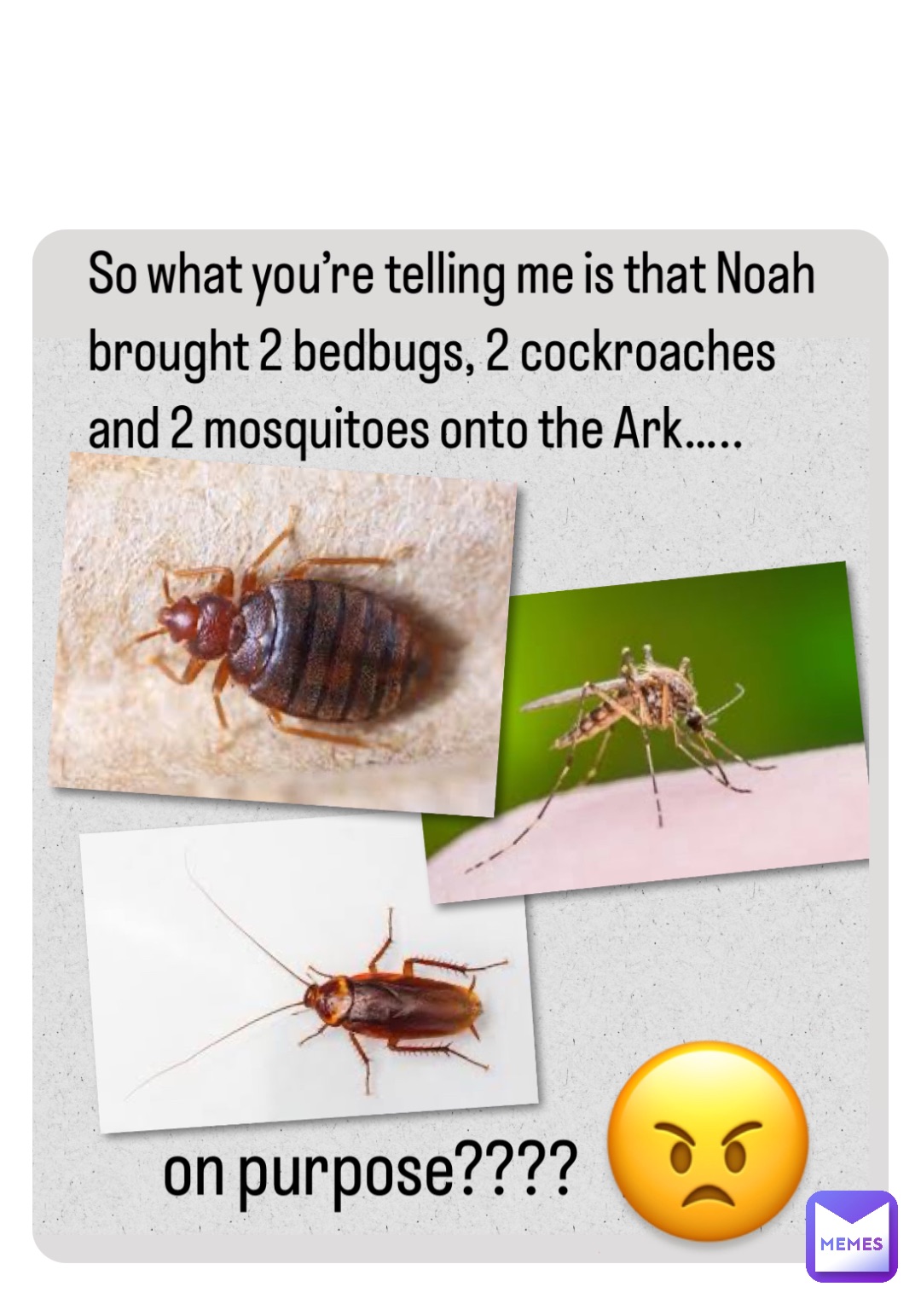 Double tap to edit