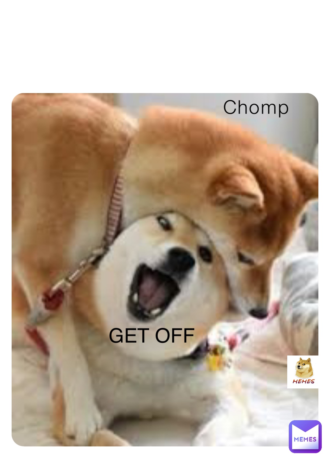 Chomp GET OFF