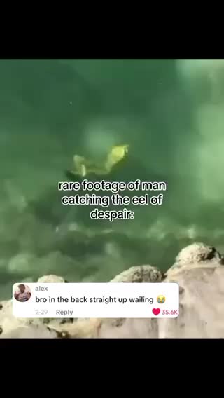 #scriptedpost