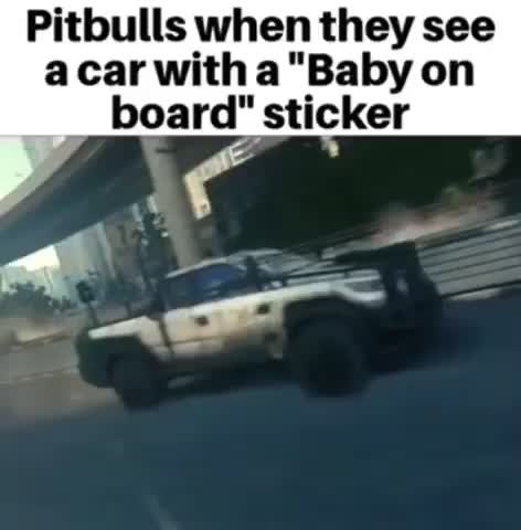 Meme shared by @PringlePringle
