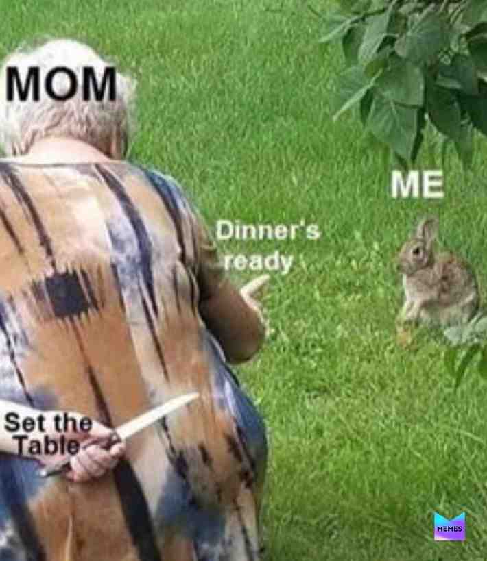 #meme