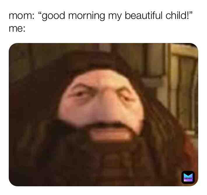 #meme