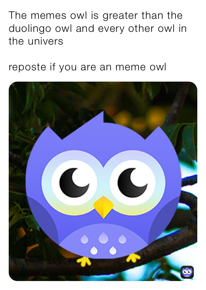 The memes owl is greater than the duolingo owl and every other owl in the univers    

reposte if you are an meme owl 