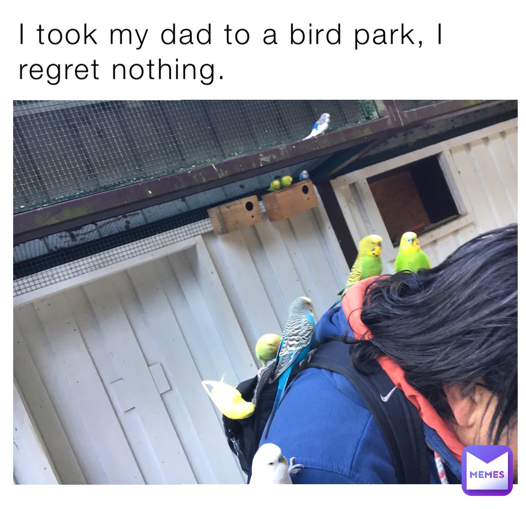 I took my dad to a bird park, I regret nothing.