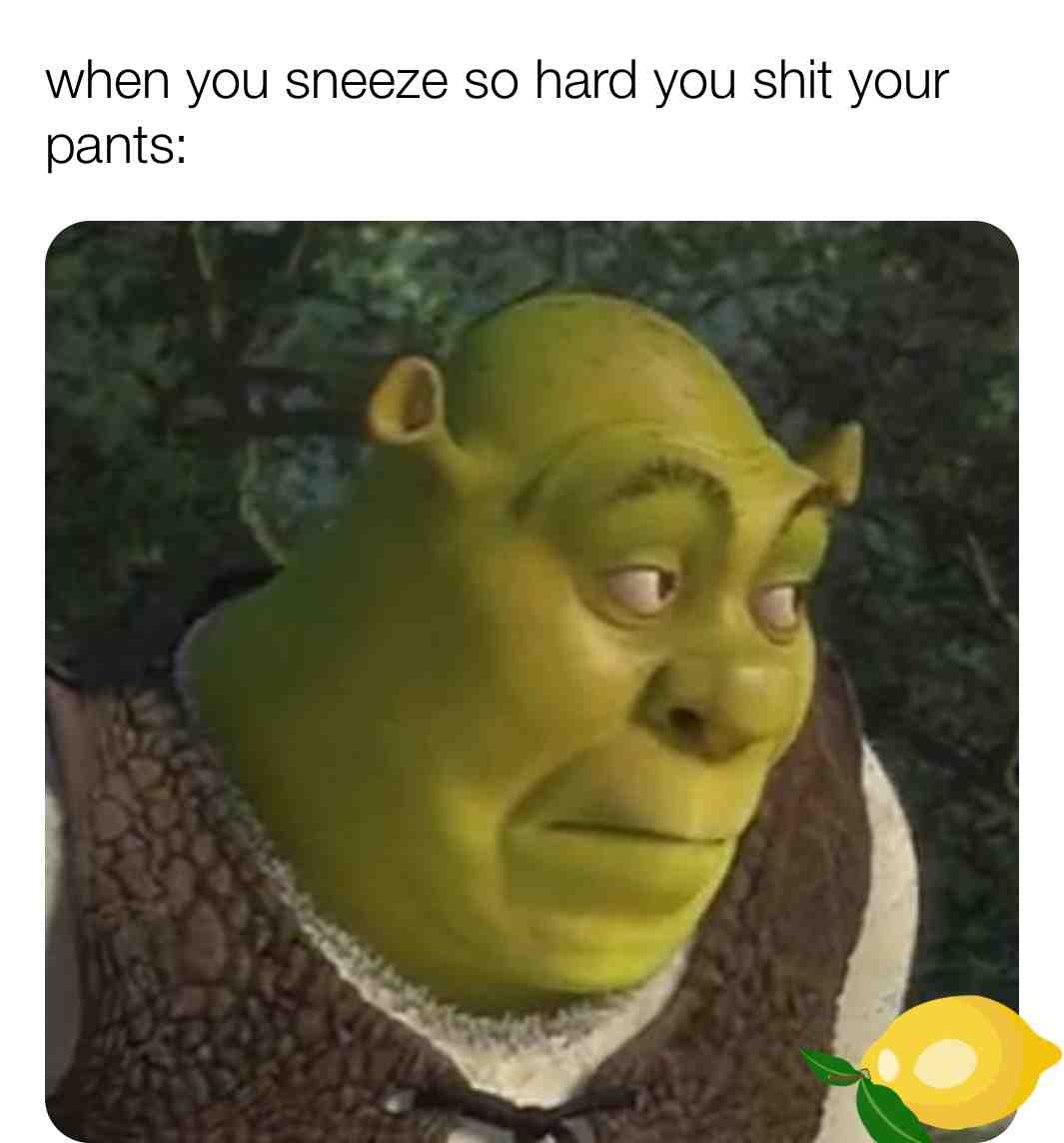 #memesdailymemes #memesdailymeme #memesdaily #like #follow