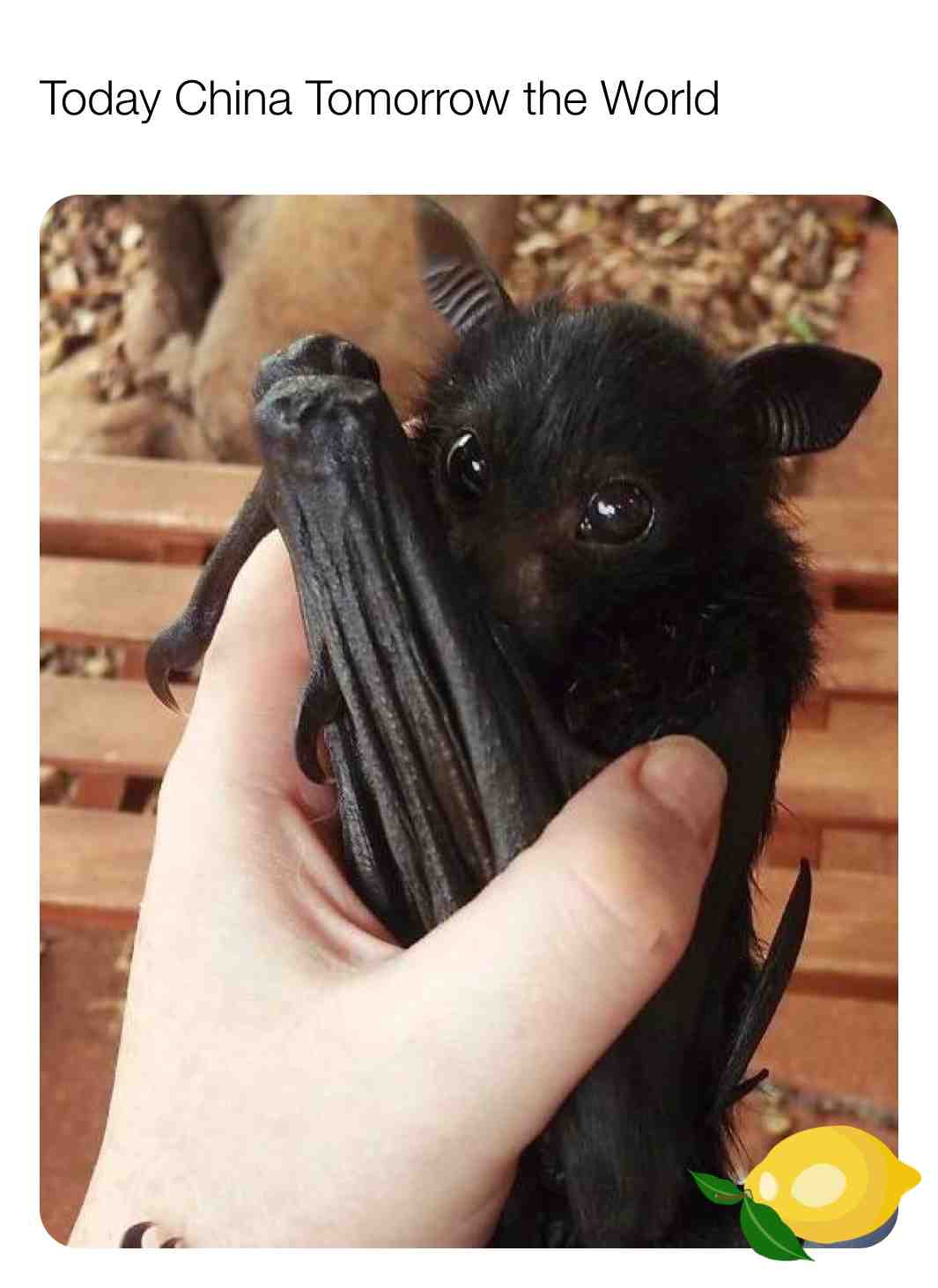 #meme #memes #memesdaily