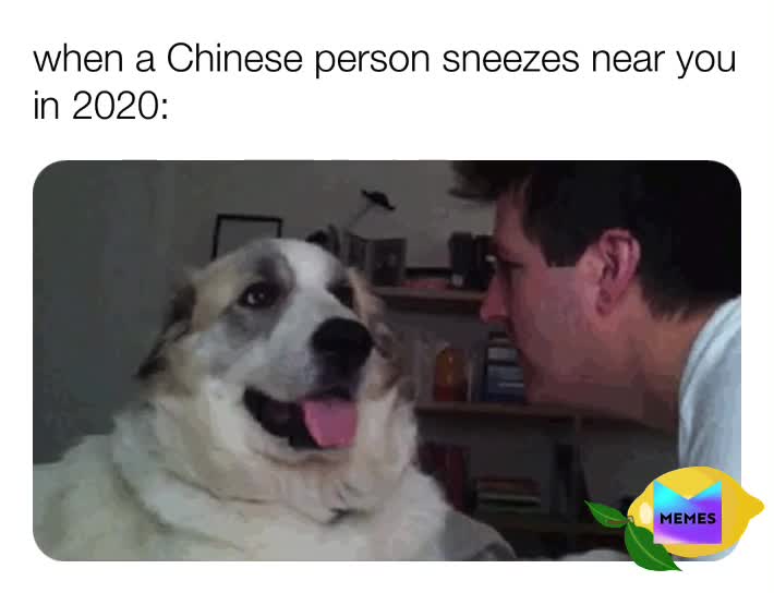 #memesdailys  #memesdaily  #memesdaily  #cronavirus
